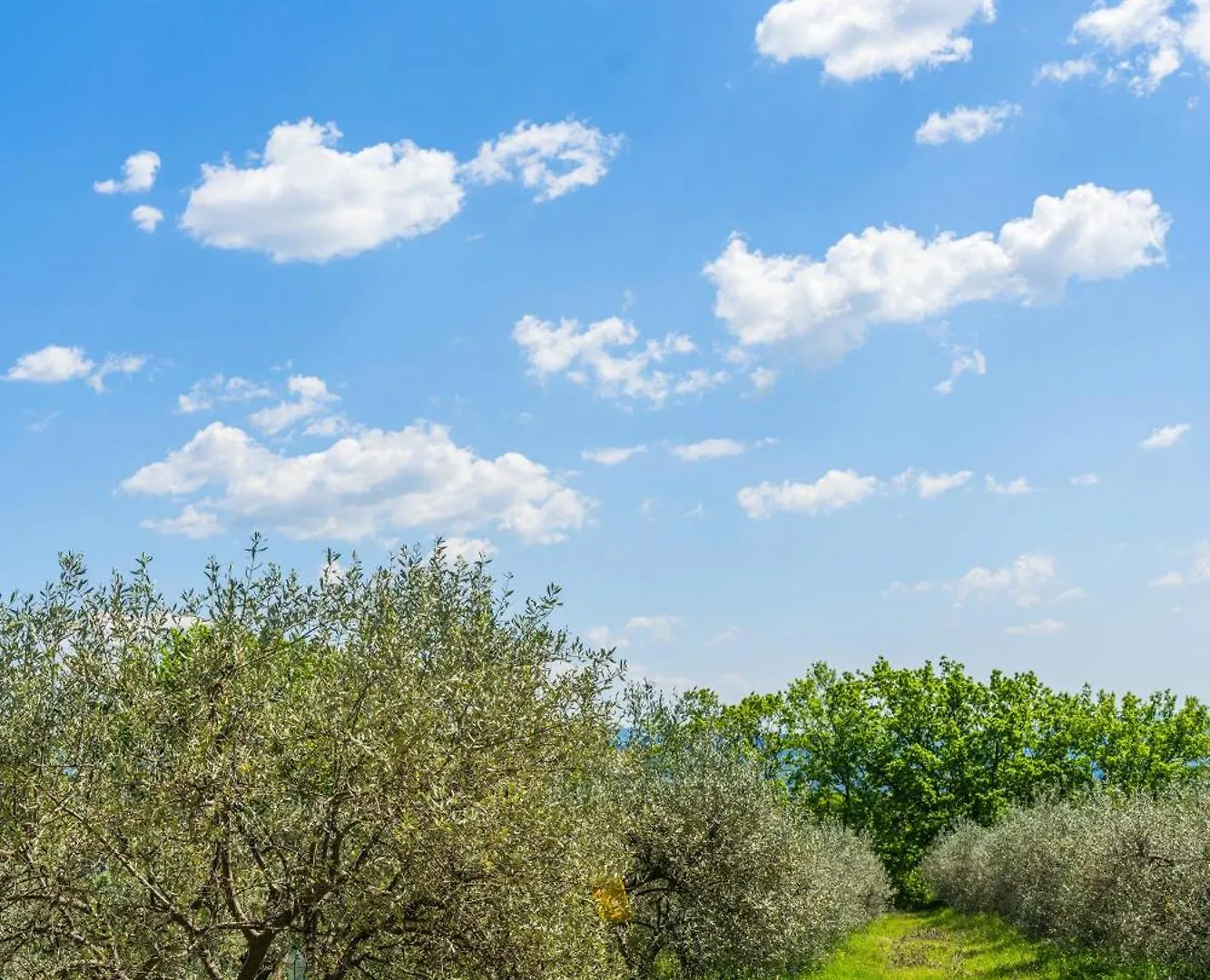 Villa Sur 1 Hectare 15 Personnes Gordes & Roussillon Croagnes