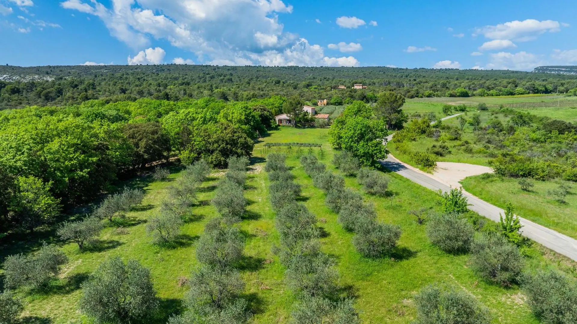 Nyaraló Villa Sur 1 Hectare 15 Personnes Gordes & Roussillon Croagnes Franciaország